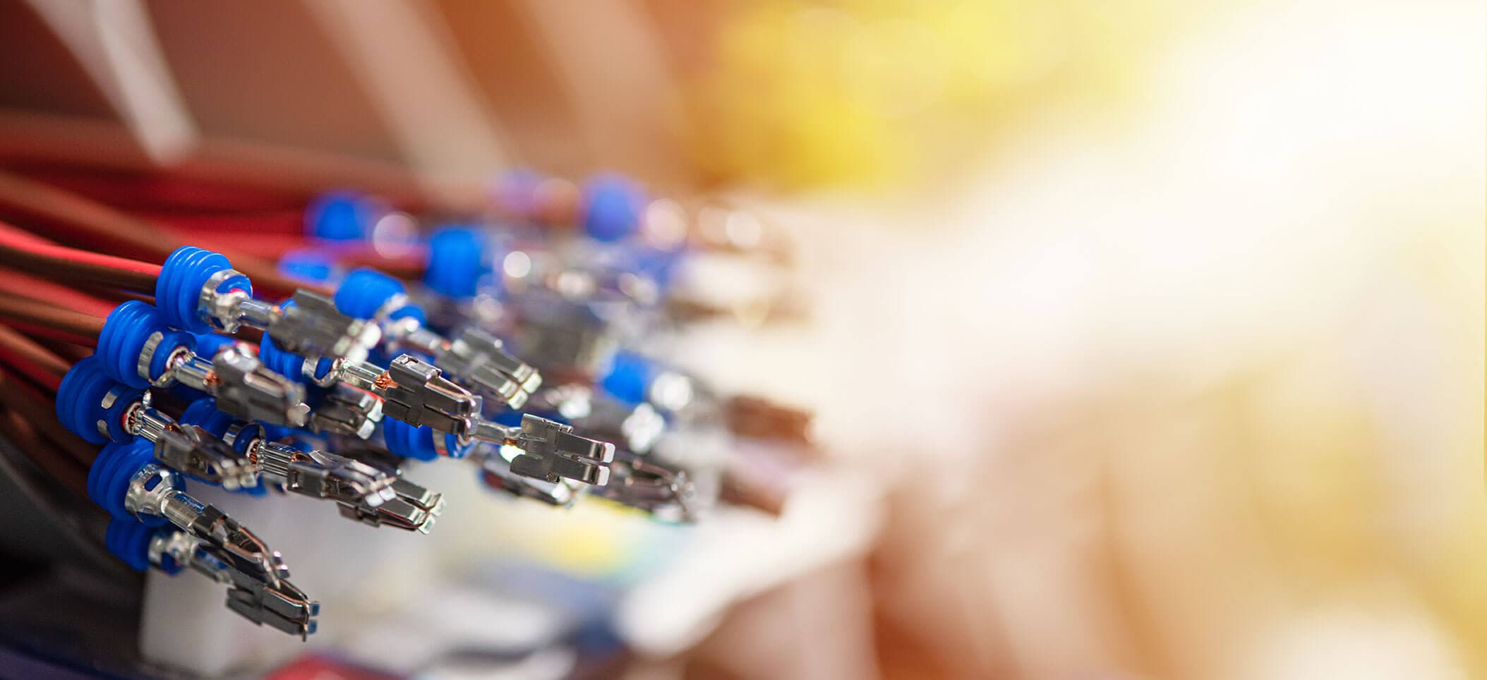 Blue ferrules and contacts on cables
